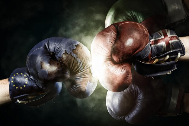 Онлайн ставки на бои UFC — лучшие коэффициенты в букмекерской конторе