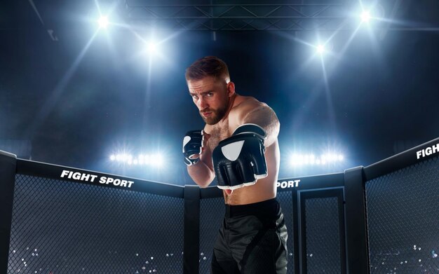Особенности линии на UFC в Лиге Ставок и 1х Ставка